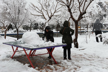 صبح برفی تهران