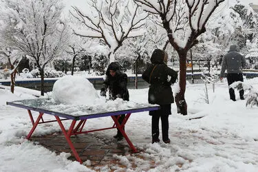 صبح برفی تهران