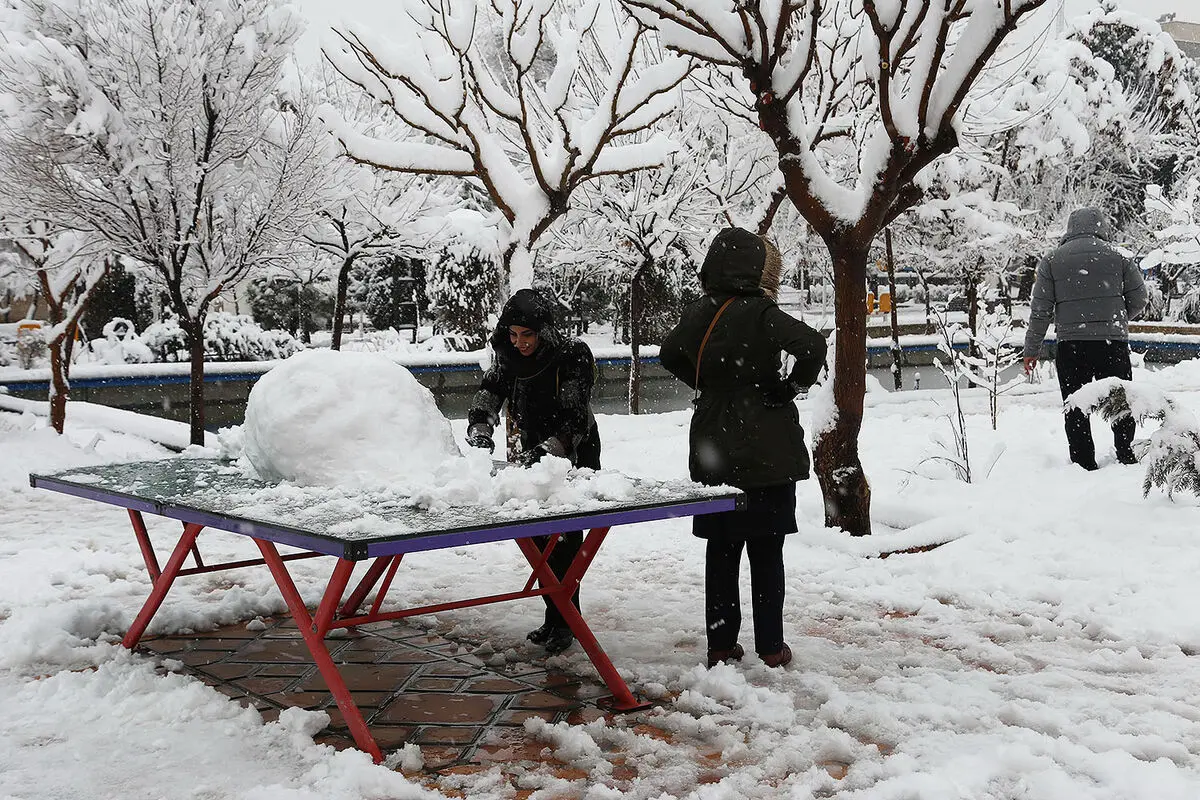 صبح برفی تهران
