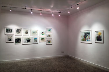 نمایشگاه آثار مائده سالار در گالری هما 