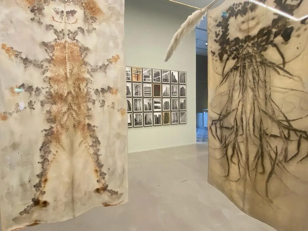 بنیاد هنر ایشارا Ishara Art Foundation | گائوری گیل Gauri Gill