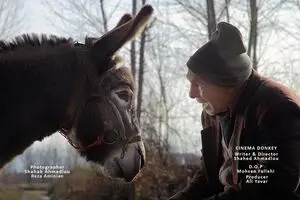 “Cinema Donkey” crowned best at Spanish comedy film festival 