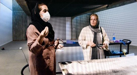 حشرات در موزه هنرهای معاصر تهران