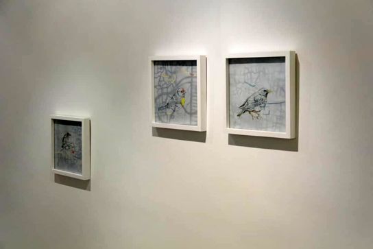 نمایشگاه نقشه ریشه ندا جلیلی در گالری ویستا