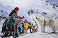 فرانسه پررونق‌ترین بازار سینمای اروپا 