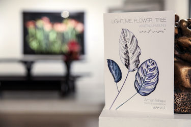 نمایشگاه عکس آرمان مولوی در گالری سیحون 2