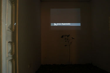 نمایشگاه ویدئوآرت آرزو باغ شیخی در گالری ویستا پلاس