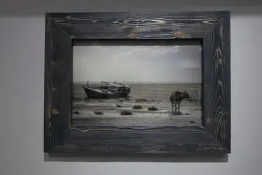 نمایشگاه عکس سکوت در عمارت روبرو