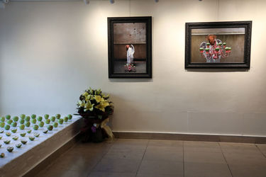 نمایشگاه عکس پدرام لسانی و اسرا مدنی در گالری گلستان