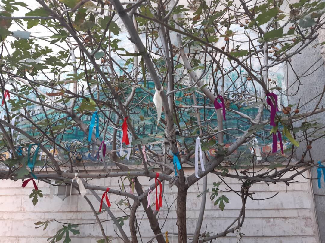 رونمایی کتاب درختان عاشق بهشت حسین محجوبی