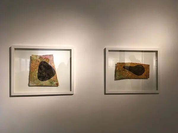 Ali Shayeste (15)