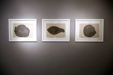 نمایشگاه نقاشی علی شایسته در گالری طراحان آزاد