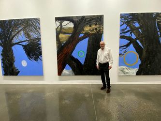 نمایشگاه نبیل نحاس در لاوری شبیبی / Nabil Nahas at Lawrie Shabibi