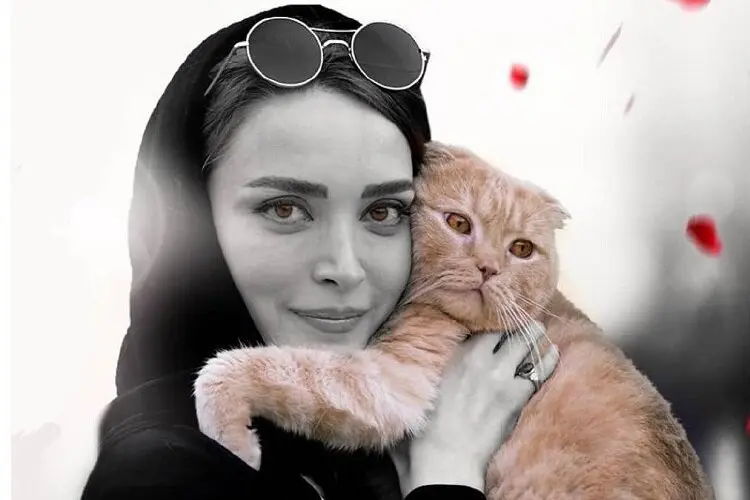 مشکل گربه بهنوش طباطبایی است؟