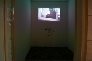 نمایشگاه ویدئوآرت آرزو باغ شیخی در گالری ویستا پلاس