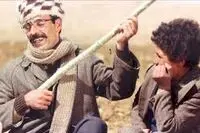 صمد بهرنگی با زنده باد قانون آمد