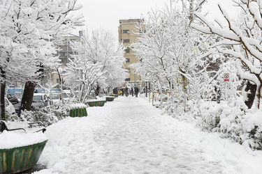 صبح برفی تهران