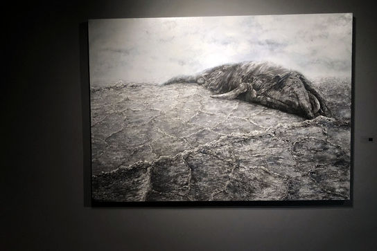 نمایشگاه آثار بهار دیدگاه در گالری ایده 