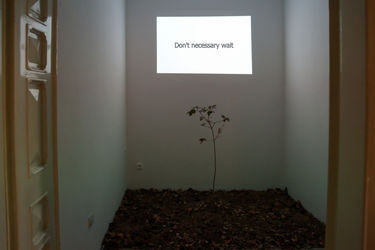 نمایشگاه ویدئوآرت آرزو باغ شیخی در گالری ویستا پلاس