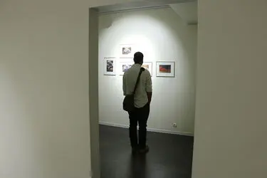 نمایشگاه نقاشی شیوا خالصی در گالری فرمانفرما