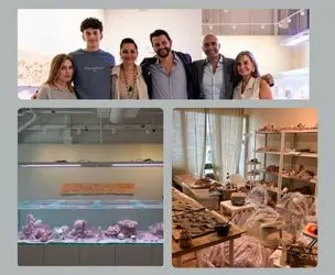 حنا السجینی Hana El-Sagini پلتفرم 421 ابوظبی
