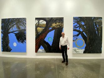 نمایشگاه نبیل نحاس در لاوری شبیبی / Nabil Nahas at Lawrie Shabibi