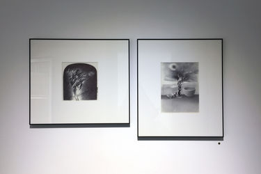 نمایشگاه آثار محمدرضا قربانی در گالری عصر