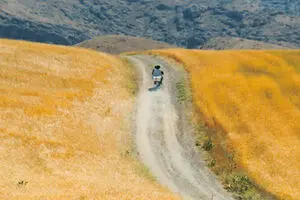 Sydney festival to review films by Abbas Kiarostami 