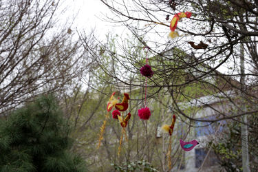 برگزاری رویداد هنری بهارستان در شهر تهران -3