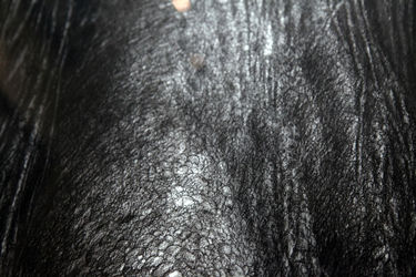 نمایشگاه نقاشی‌های نفیسه صدیقی با عنوان "دریافت" در گالری اثر