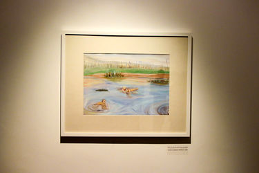 نمایشگاه نقاشی های آوا بهرامی با عنوان "سپید دندان" در گالری ویستا