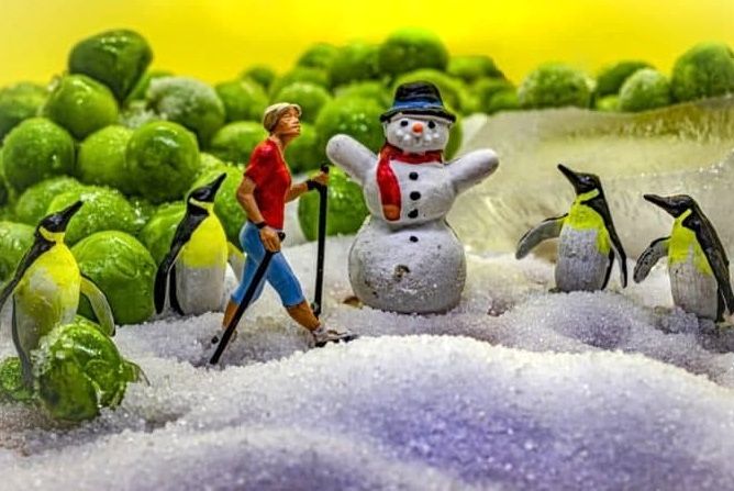 آثار  هنری زیبایی که جکی گوردون با غذاهای یخچال خلق می‌کند/ عکسها