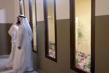 آرت ابوظبی  Abu Dhabi Art 2023  