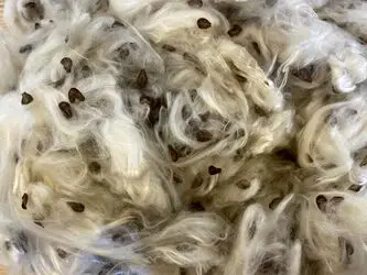 نمایشگاه جمال طیارا بارودی در استودیو تشکیل