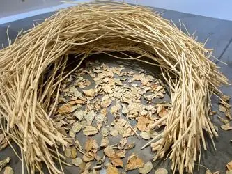 نمایشگاه جمال طیارا بارودی در استودیو تشکیل