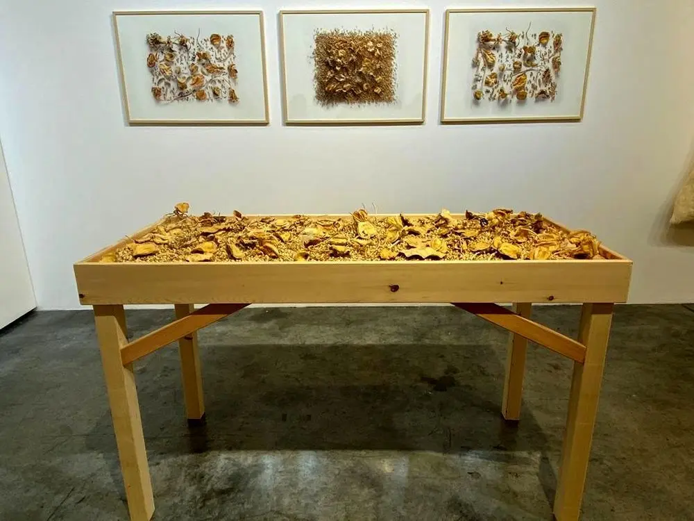 Jamal Tayara Baroudy with 'Ways of Seeing' at Tashkeel Studio