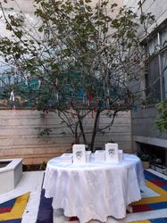 رونمایی کتاب درختان عاشق بهشت حسین محجوبی