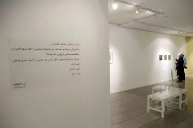 نمایشگاه نقاشی مینا انوشه در گالری ویستا