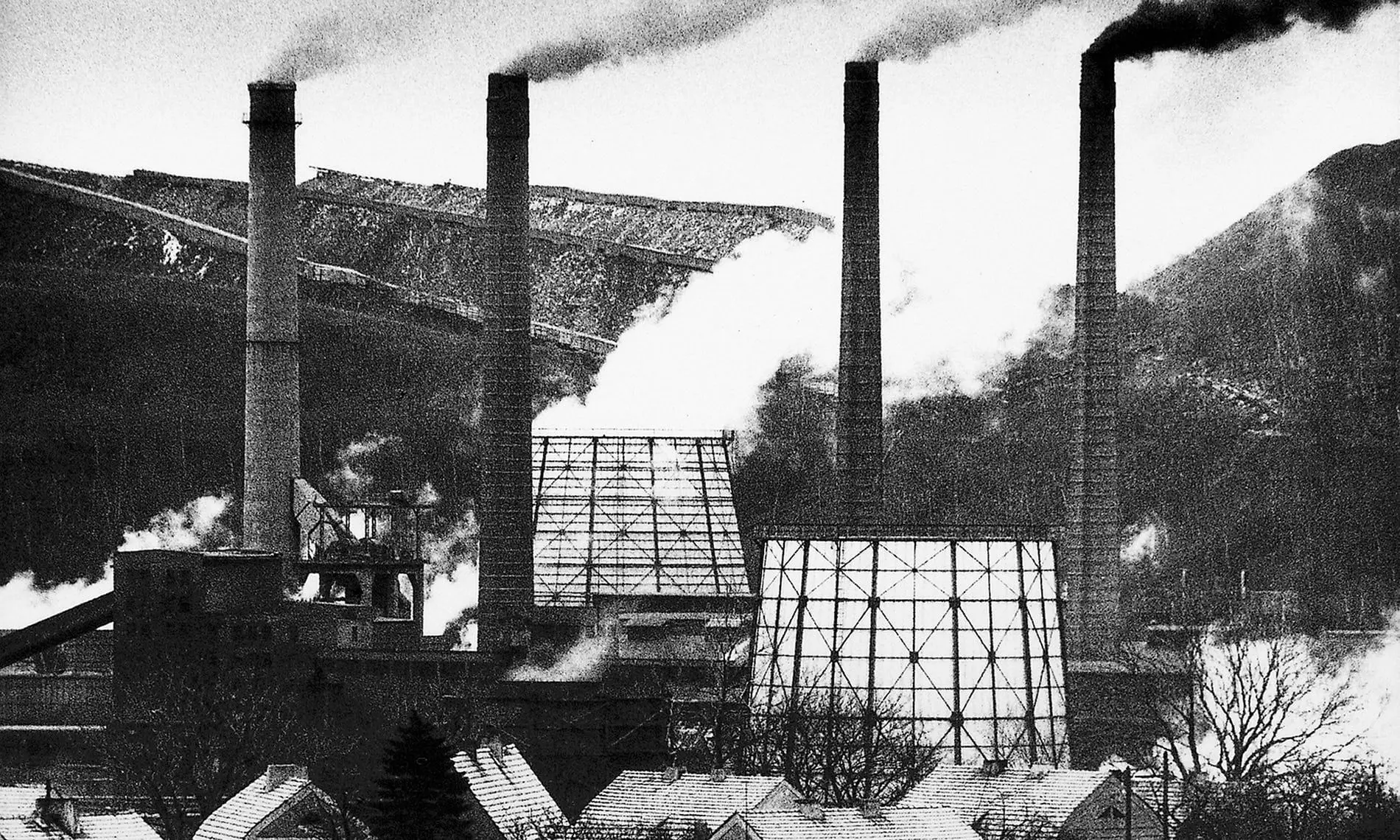 مایکل کالا: سفر به سرزمین دود و سیاهی/ پروژه‌ای که برای هنرمندش جایزه به ارمغان آورد و زندان!