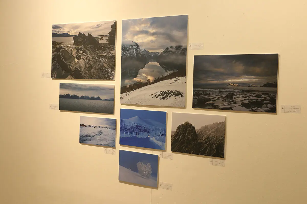 Nordic Days in Artists Forum