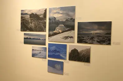 Nordic Days in Artists Forum