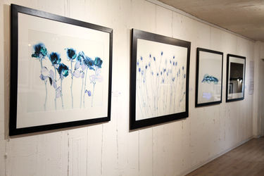 نمایشگاه عکس آرمان مولوی در گالری سیحون 2