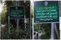 بردن ساز به پارک‌ها آزاد شد؟ / عکس