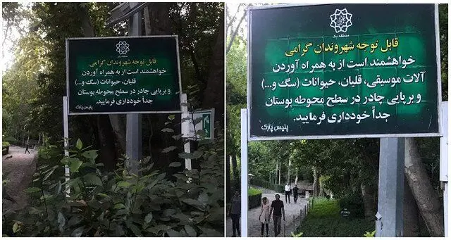 بردن ساز به پارک‌ها آزاد شد؟ / عکس