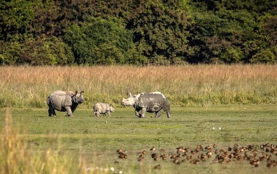 عکس های برگزیده حیات وحش جهان