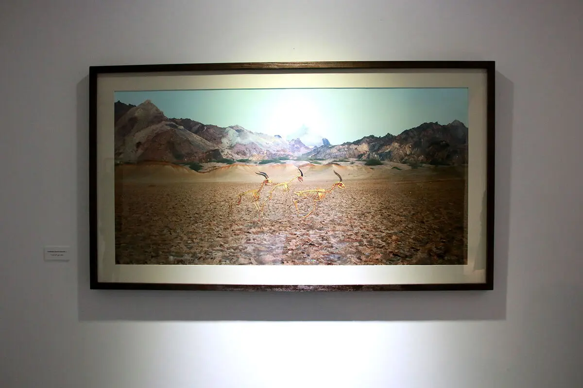 نمایشگاه آثار علیرضا معماریانی با نام 