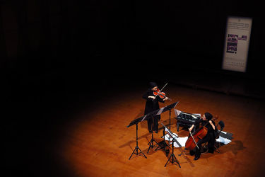 دومین فستیوال بین المللی موسیقی معاصر تهران/آنسامبل نیواک