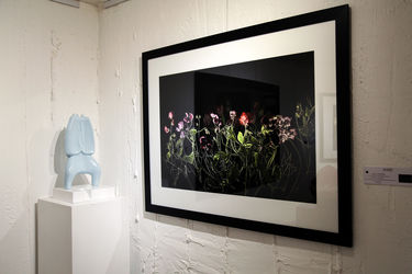 نمایشگاه عکس آرمان مولوی در گالری سیحون 2