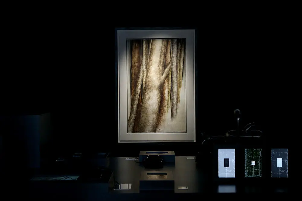 دومین 