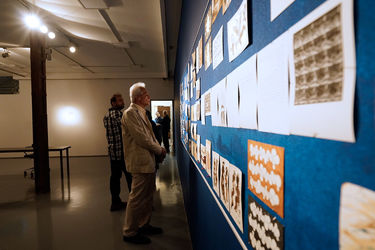 نمایشگاه گروهی آثار در گالری طراحان آزاد